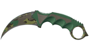 Boreal Forest image