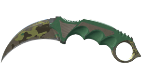 Boreal Forest image