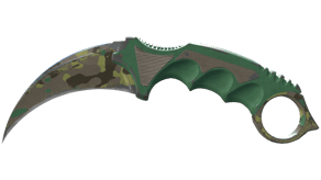 Boreal Forest image