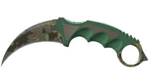 Boreal Forest image