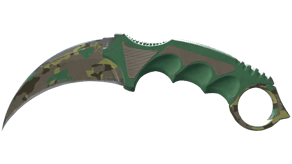 Boreal Forest image