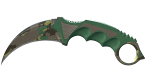 Boreal Forest image