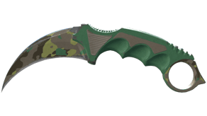 Boreal Forest image