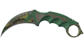 Boreal Forest image