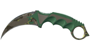 Boreal Forest image
