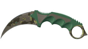 Boreal Forest image