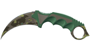 Boreal Forest image
