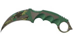 Boreal Forest image
