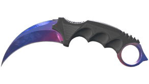 Doppler Phase 1 image