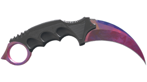 Doppler Phase 2 image