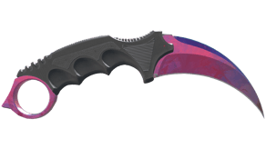 Doppler Phase 2 image