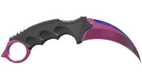 Doppler Phase 2 image