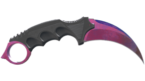 Doppler Phase 2 image
