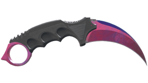 Doppler Phase 2 image