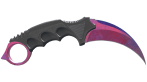 Doppler Phase 2 image