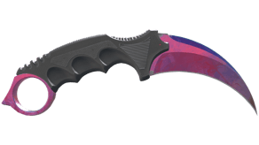 Doppler Phase 2 image