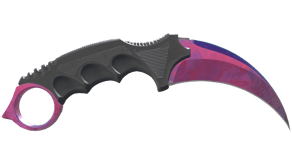 Doppler Phase 2 image