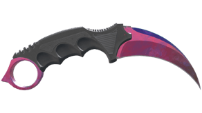 Doppler Phase 2 image