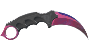Doppler Phase 2 image