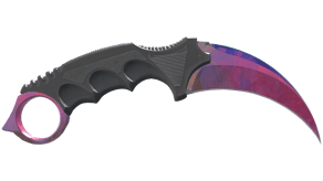 Doppler Phase 2 image