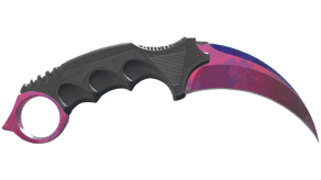 Doppler Phase 2 image