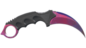 Doppler Phase 2 image