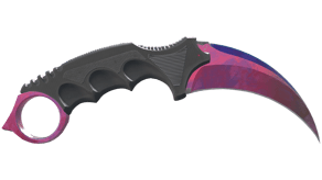 Doppler Phase 2 image
