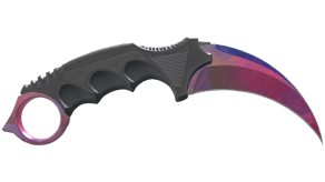Doppler Phase 2 image