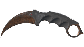 Rust Coat image