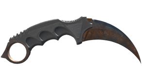Rust Coat image