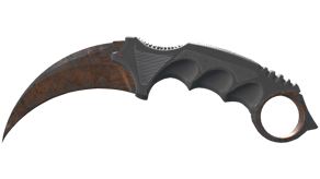 Rust Coat image