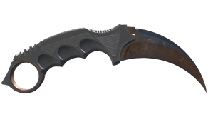 Rust Coat image