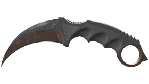 Rust Coat image