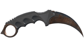 Rust Coat image