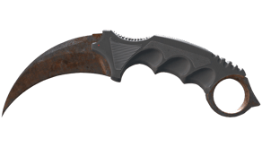 Rust Coat image