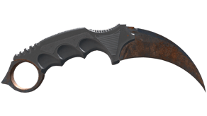 Rust Coat image