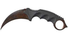 Rust Coat image
