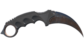 Rust Coat image