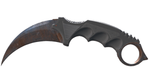 Rust Coat image