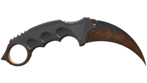 Rust Coat image