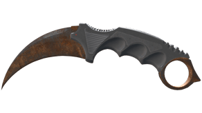 Rust Coat image