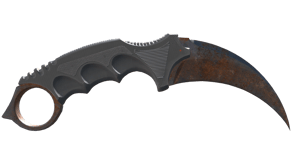 Rust Coat image