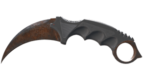 Rust Coat image