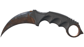 Rust Coat image