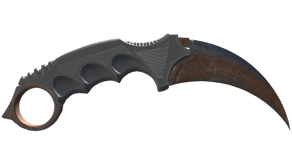 Rust Coat image