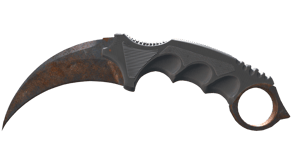 Rust Coat image
