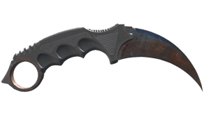 Rust Coat image