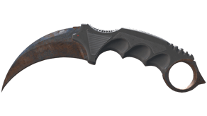 Rust Coat image