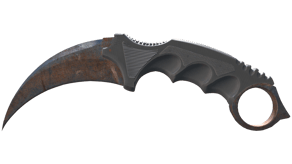 Rust Coat image