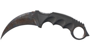 Rust Coat image